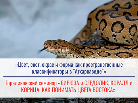 «Цвет, свет, окрас и форма как пространственные классификаторы в 