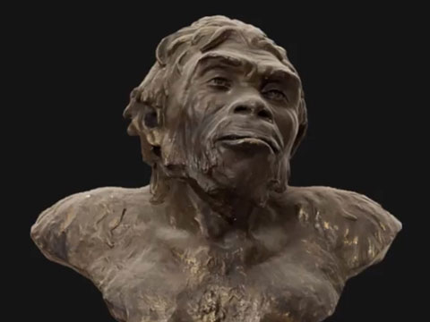 Picturing Java (Wo)man: Visual Reconstruction of Colonial Paleoanthropology - Fiona Asokacitta