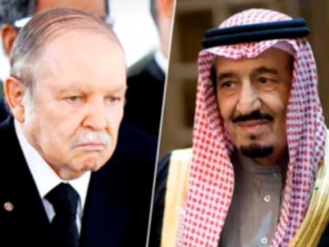 Инвестиционный фактор в отношениях Алжира, Саудовской Аравии: состояние, перспективы